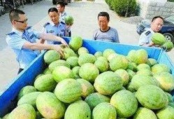武都网红 吃瓜群微信,揭秘“吃瓜群”微信背后的故事