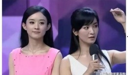娱乐圈吃瓜大爆料马伊琍,揭秘背后的真相与情感纠葛